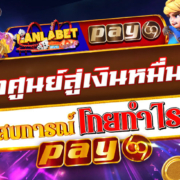 pay69 สล็อตเครดิตฟรี